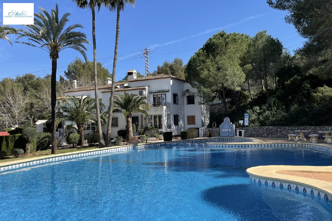 apartment in Pedreguer(Monte Pedreguer) for holiday rental, built area 43 m², year built 1980, condition neat, + KLIMA, air-condition, 1 bedroom, 1 bathroom, swimming-pool, ref.: T-0218-1