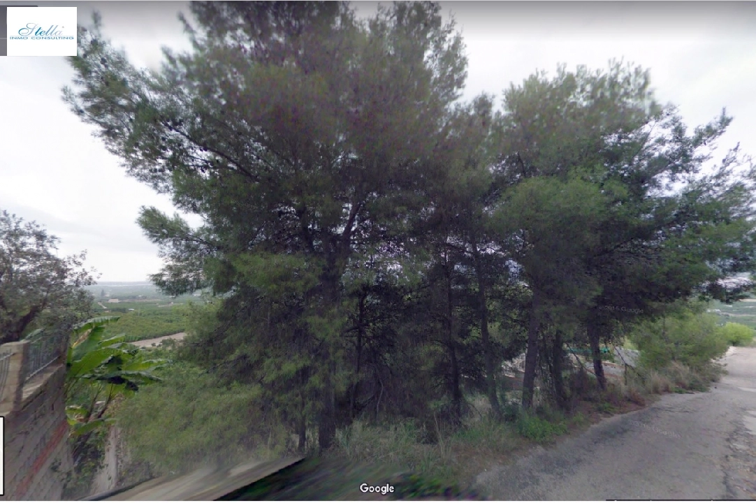 residential ground in Pego for sale, plot area 1093 m², ref.: IM-1818-3