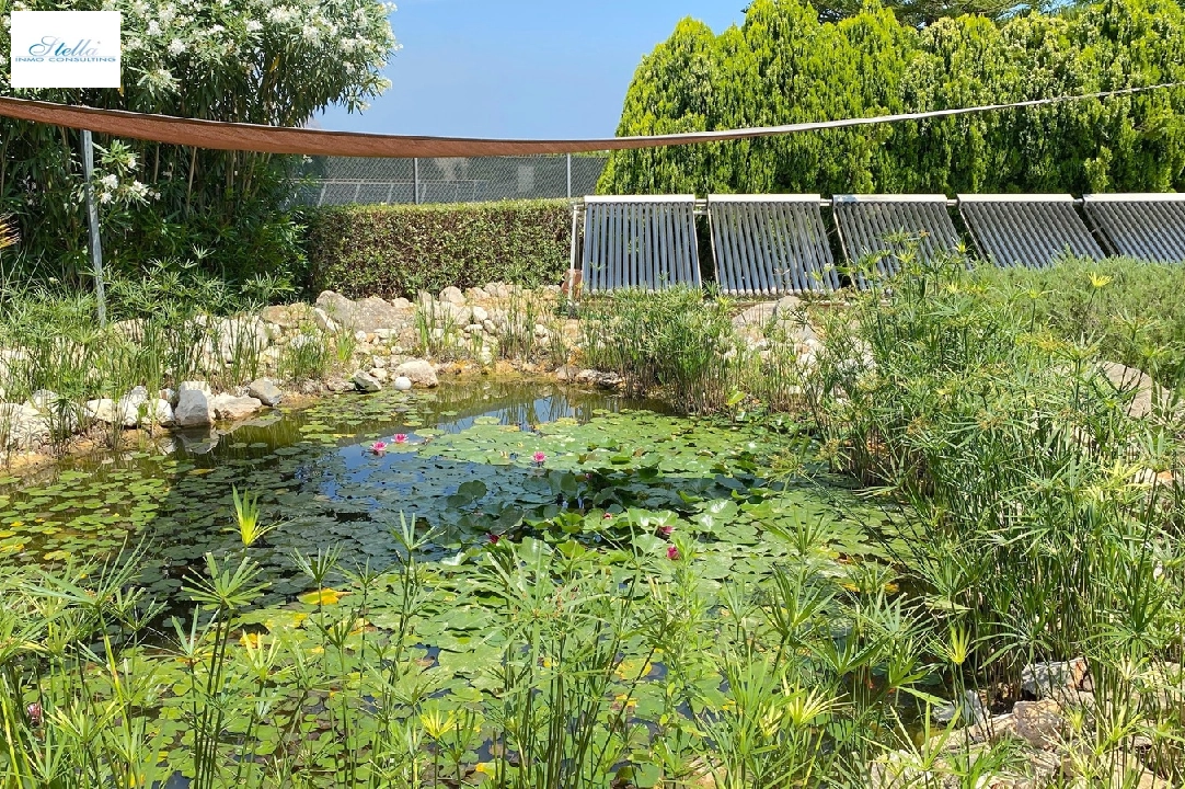 country house in Denia for sale, built area 250 m², year built 2003, condition neat, + underfloor heating, air-condition, plot area 10700 m², 4 bedroom, 3 bathroom, swimming-pool, ref.: AS-1521-29