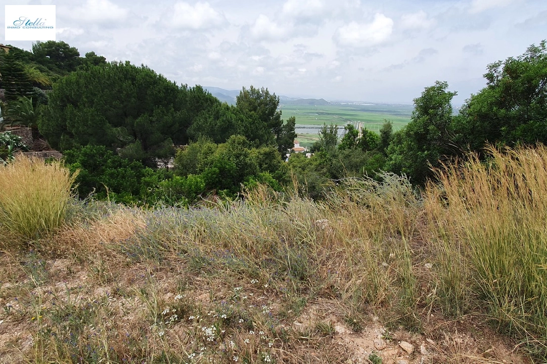 residential ground in Pego-Monte Pego for sale, plot area 1671 m², ref.: RA-0421-4