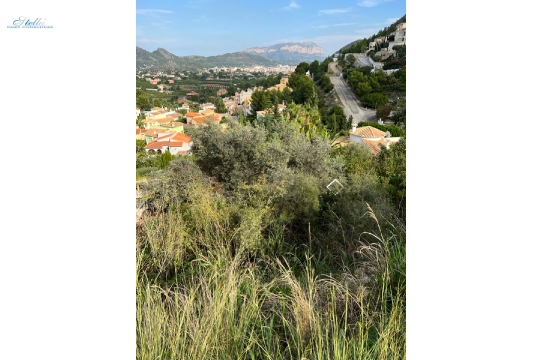 residential ground in Pedreguer(Parcella 246) for sale, plot area 800 m², ref.: RG-0121-5