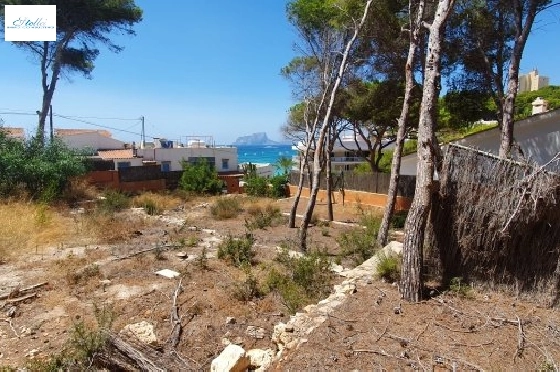 residential-ground-in-Moraira-for-sale-BS-3974760-1.webp