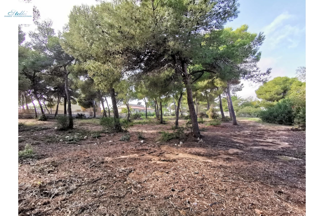 residential ground in Javea for sale, built area 1006 m², ref.: BS-4548789-5