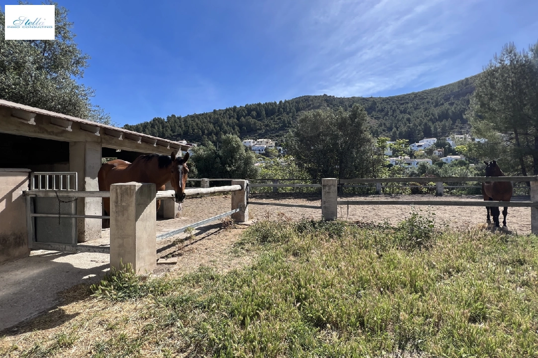country house in Orba for sale, built area 300 m², year built 2000, + stove, plot area 17241 m², 4 bedroom, 2 bathroom, swimming-pool, ref.: SB-2423-12