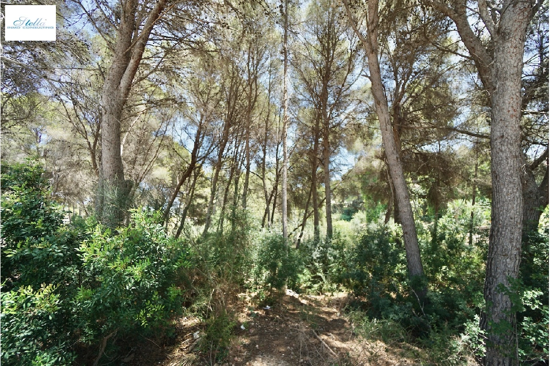 residential ground in Moraira for sale, plot area 4473 m², swimming-pool, ref.: CA-G-1633-AMB-3