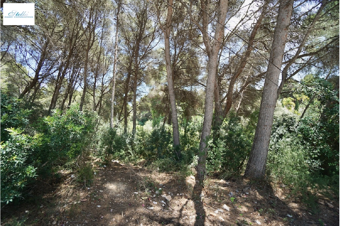 residential ground in Moraira for sale, plot area 4473 m², swimming-pool, ref.: CA-G-1633-AMB-4