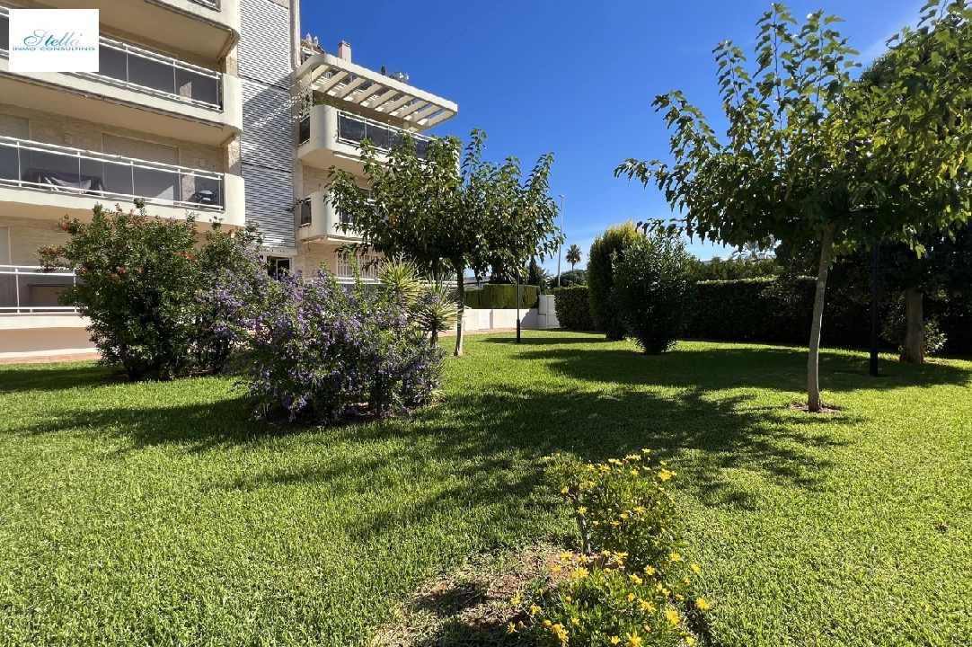 apartment in Denia(Las Marinas) for sale, built area 81 m², year built 2006, condition neat, + central heating, air-condition, 1 bedroom, swimming-pool, ref.: SC-K0923-24