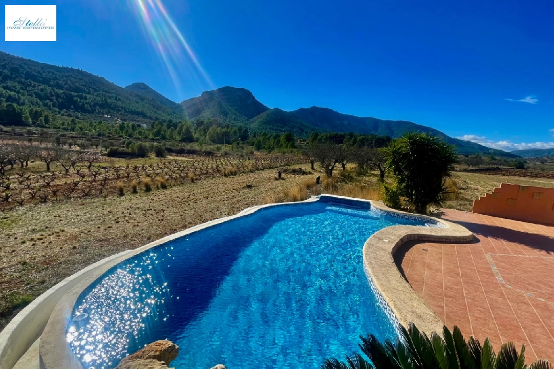 villa in Jalon for sale, built area 200 m², year built 2003, air-condition, plot area 10000 m², 2 bedroom, 2 bathroom, swimming-pool, ref.: PV-141-01967P-20