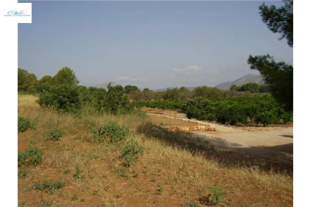 commercial ground in Pedreguer(Partida Campell) for sale, plot area 35000 m², ref.: 2-4207-2