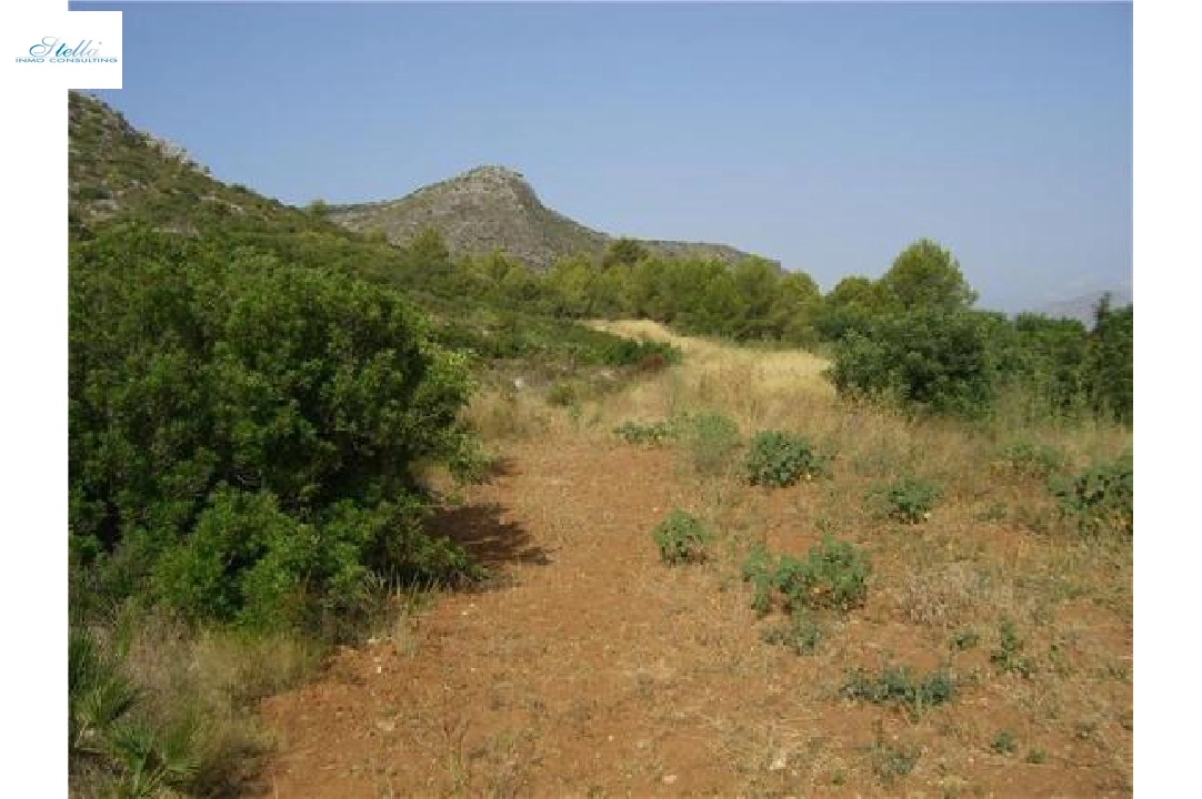 commercial ground in Pedreguer(Partida Campell) for sale, plot area 35000 m², ref.: 2-4207-3