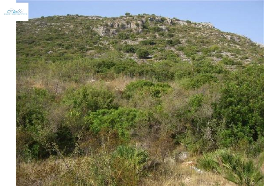 commercial ground in Pedreguer(Partida Campell) for sale, plot area 35000 m², ref.: 2-4207-4