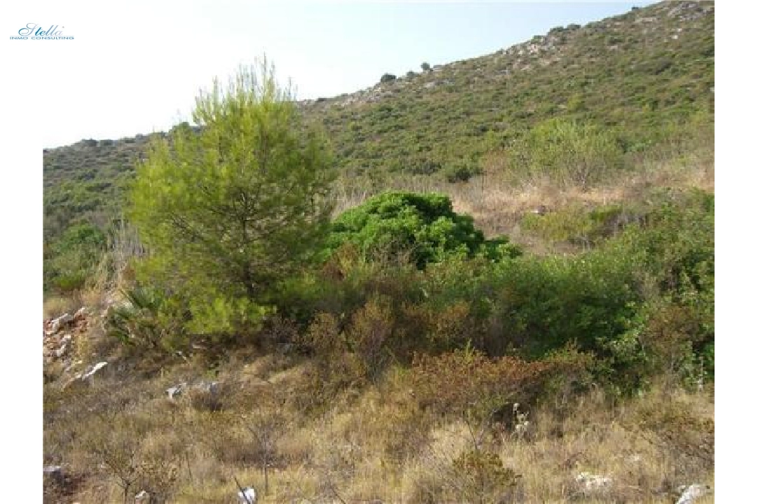 commercial ground in Pedreguer(Partida Campell) for sale, plot area 35000 m², ref.: 2-4207-5
