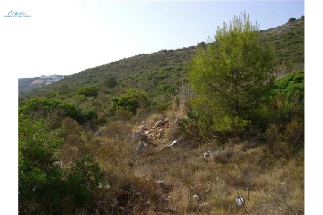 commercial ground in Pedreguer(Partida Campell) for sale, plot area 35000 m², ref.: 2-4207-6