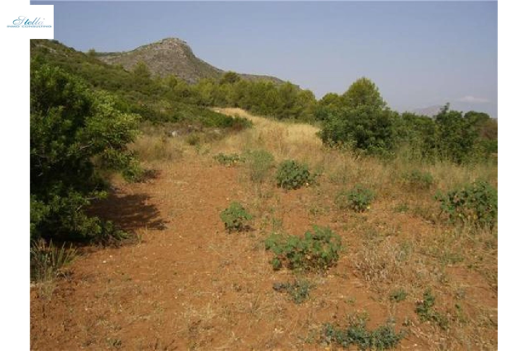commercial ground in Pedreguer(Partida Campell) for sale, plot area 35000 m², ref.: 2-4207-8